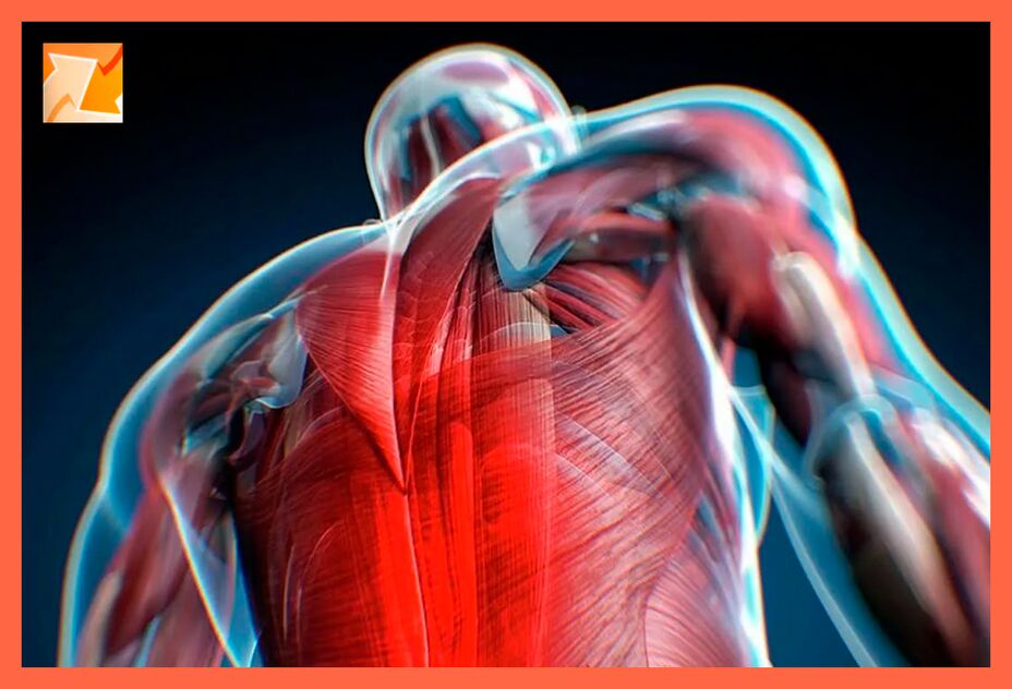 Caractéristiques de l'inconfort